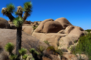 California - Joshua Tree National Park