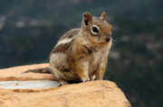 Utah - Bryce Canyon