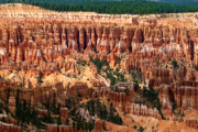 Utah - Bryce Canyon